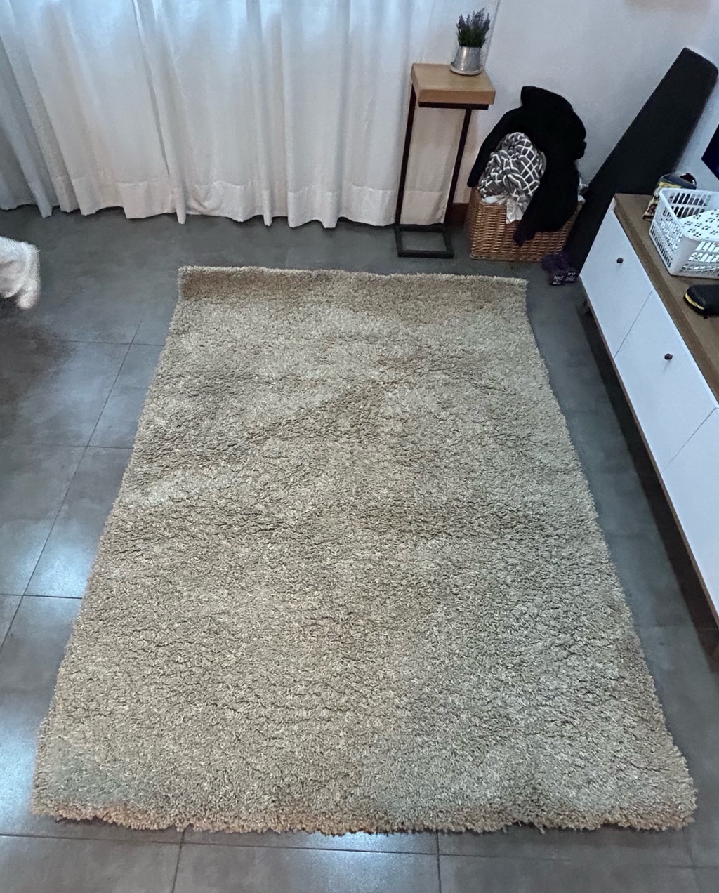 Alfombra 