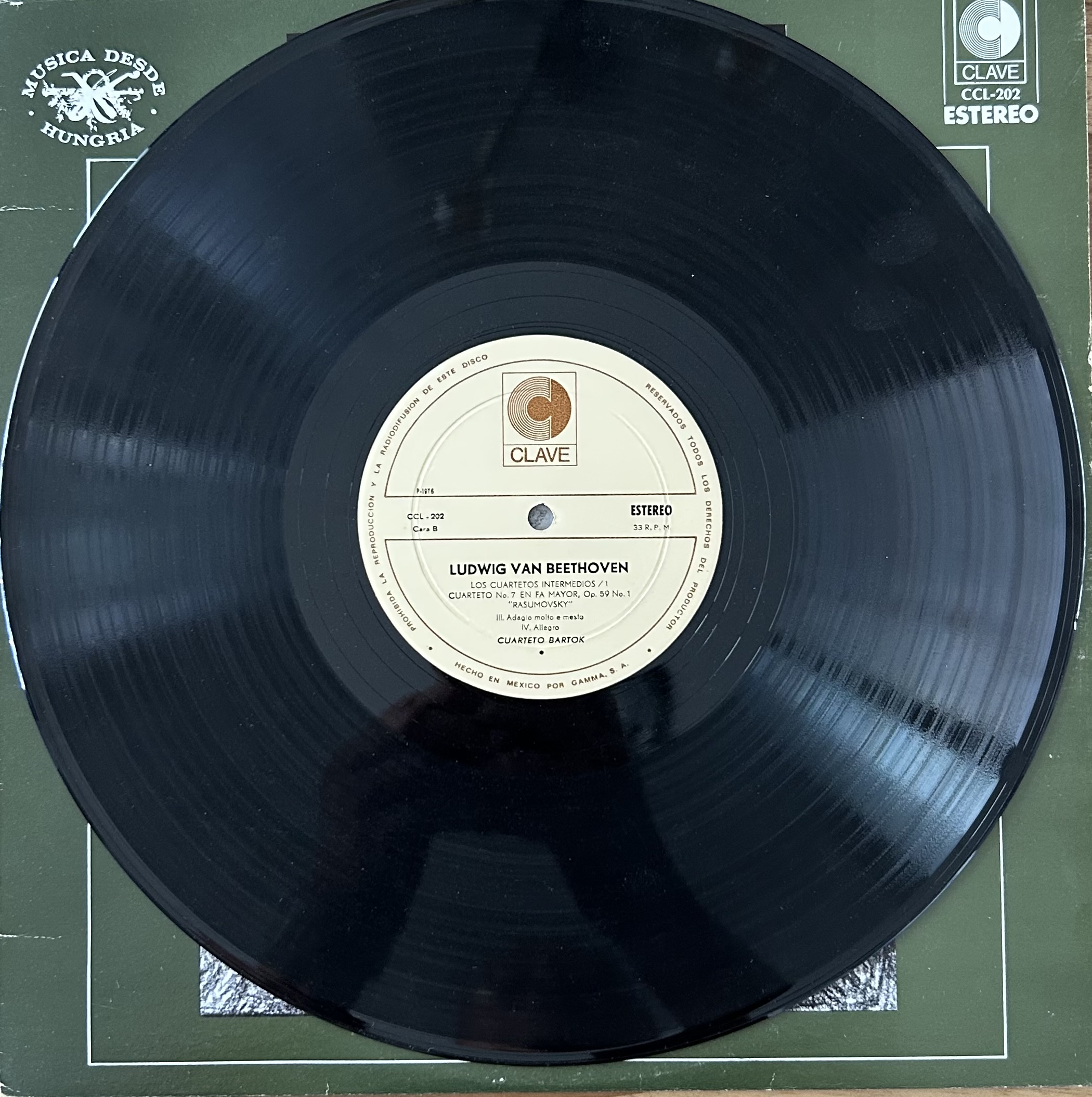 Disco LP / Acetato
